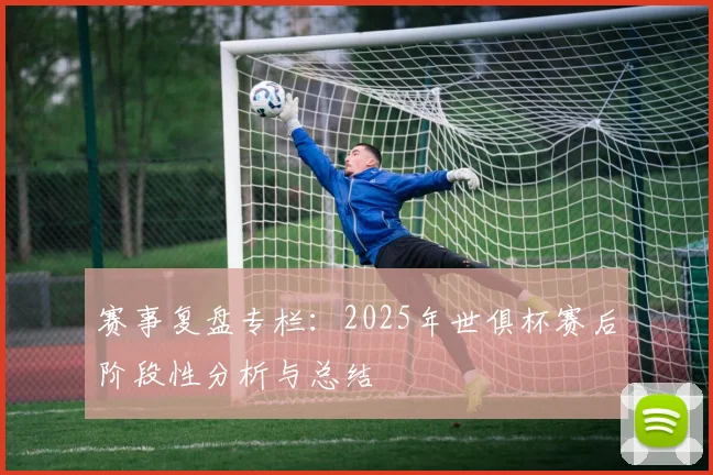 赛事复盘专栏：2025年世俱杯赛后阶段性分析与总结