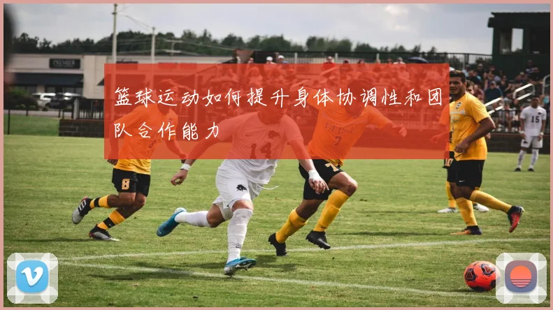 篮球运动如何提升身体协调性和团队合作能力